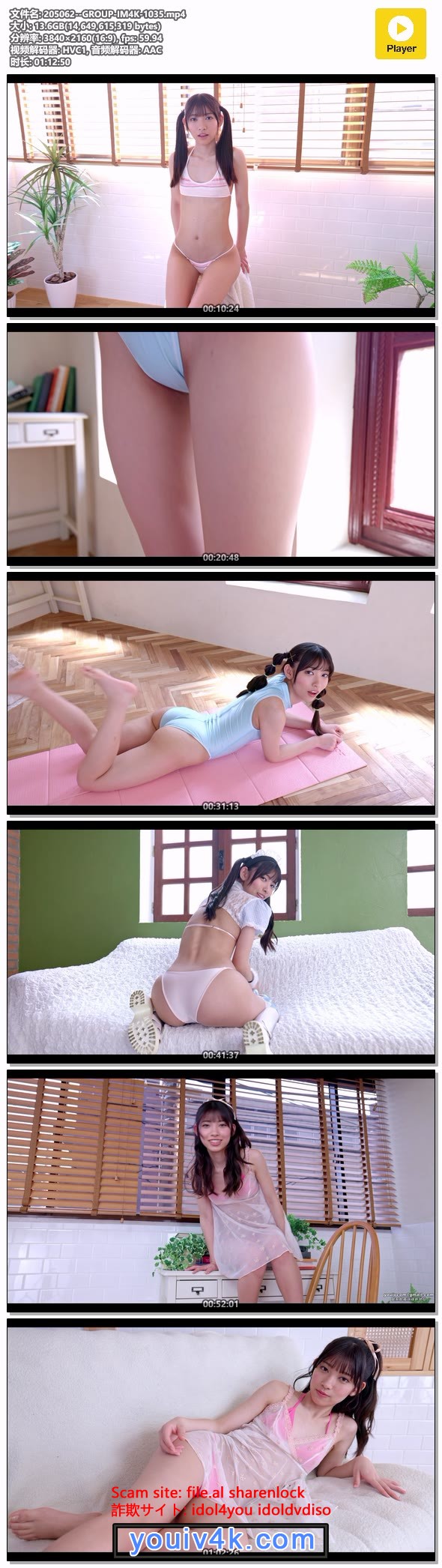 205062--GROUP-IM4K-1035.mp4.jpg