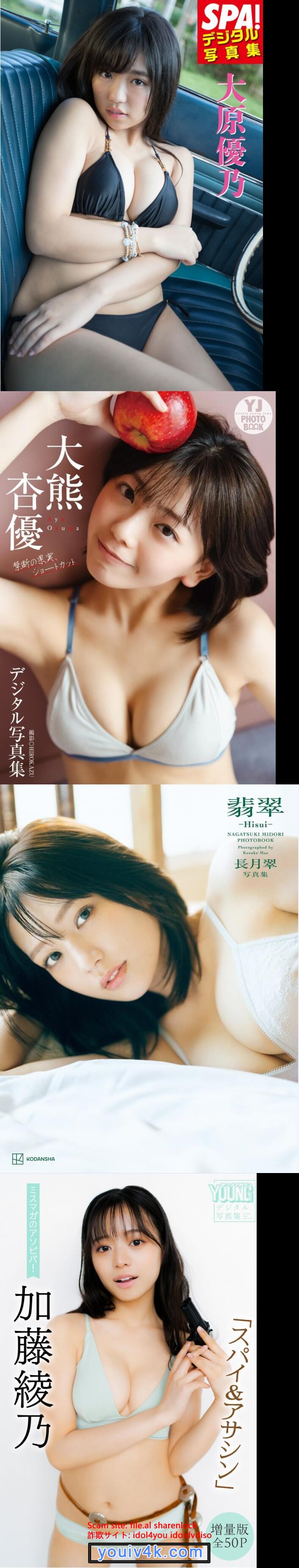 12.jpg