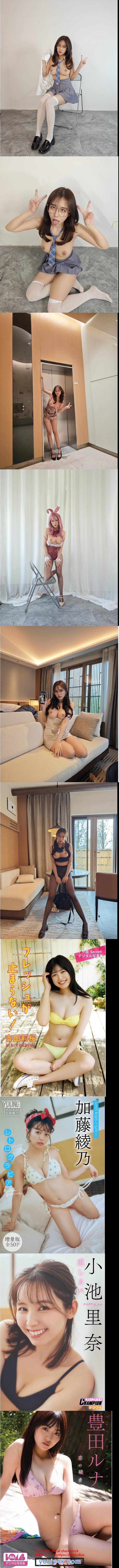 12.jpg 12.jpg